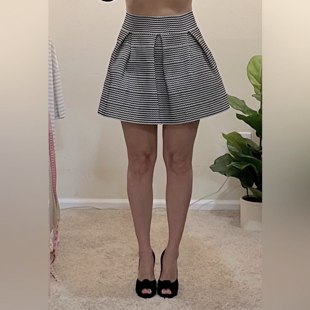 Flared Black and White Mini Skirt